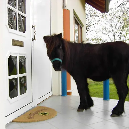 Pferd Bad Rappenau